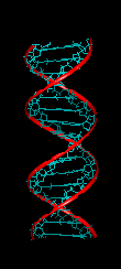 DNA